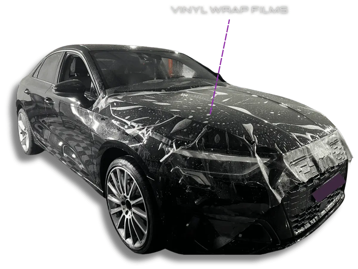 Sleek Style Car